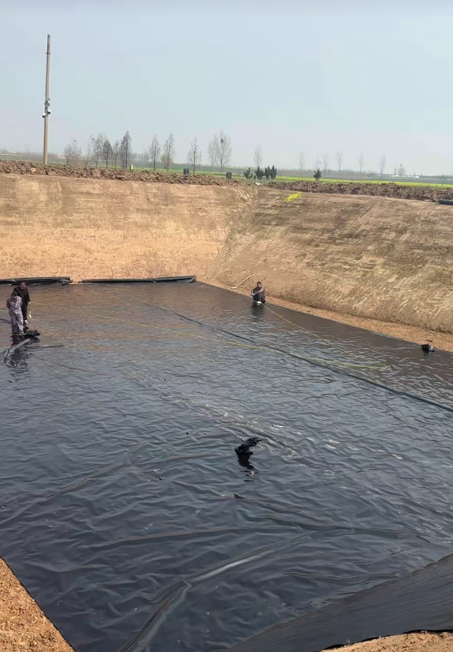 土塘养虾用土工模的作用以及成本